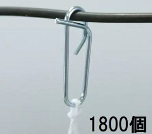 (1800) U q p NbvtbN iXjbNX qp mnEX͔|Up  U |pi _@ 돤Xn