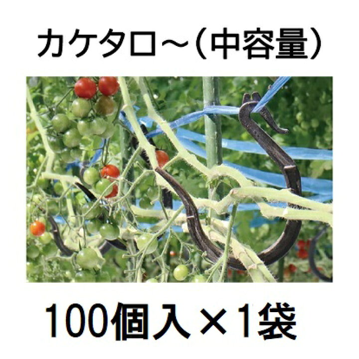 楽天市場】(100個入) 誘引資材 カケタロー トマト ミニトマト TAR-800 