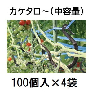 (100×4) U JP^[ g}g ~jg}g TAR-800 (200) V[ JP^` (e) [U |pi _@ 돤X]@zm