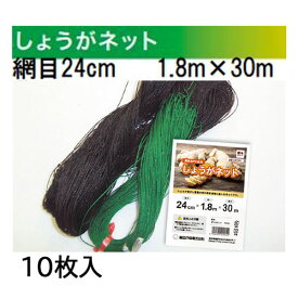 (徳用10枚セット) 東京戸張 しょうがネット 網目24cm 1.8m×30m G3B1830 (黒緑) ショウガネット