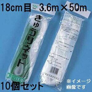 (10Zbg) ˒ LElbg Ԗ18cm×3.6m×50m WA3650  イlbg L[lbg LÊ鐫A̗U ΂̃J[e@(zs)