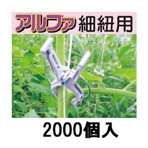 (2000) U At@ וRp KA-P200 p[v  (200×10) V[( UNbv g}g iX s[} } |)