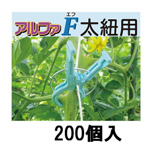 (200) U At@F RERp AF-BL200 [U |pi _@ 돤X] V[