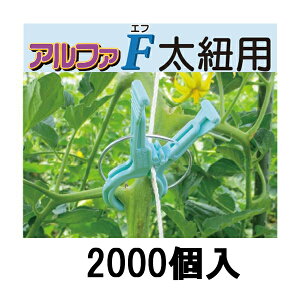 (P[X 2000) U At@F RERp At@F AF-BL200 [U |pi _@ 돤X] V[