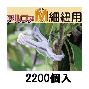 (P[X 2200) U At@M וRp AM-P220 p[v  [U |pi _@ 돤X] V[