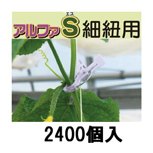 (P[X 2400) V[ U At@S וRp AS-P240 p[v  [U |pi _@ 돤X]