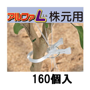 (160) At@L p 傫Ȍs U AL-W160 V[