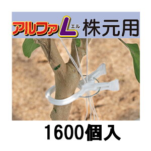 (P[X 1600) At@L p 傫Ȍs U 160×10 AL-W160 i̓V[