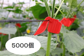 (ケース特価 5000個入) ペリカンキャッチ PC-R500 誘引資材 キュウリ等のつる性植物の誘引に 吊り下げ資材 シーム