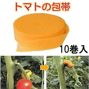 (p10Zbg)g}g̕ IW 25mm×5m ł Lk sb^Œ Ng[fBO (䂤pPbg) (zmN5)