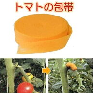 トマトの包帯 オレンジ 25mm幅×5m 手でちぎる 伸縮性 ピッタリ固定 クラレトレーディング (ネコポス)