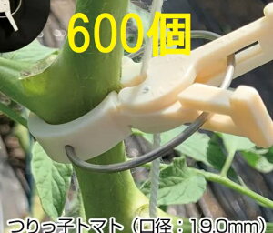 (p600) q g}gp a:19.0mm nEX͔|p U iXjbNX(100×6)