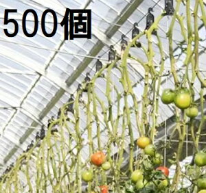 (p500) U V Uq2 UqII g}g U^[͔|p U iXjbNX