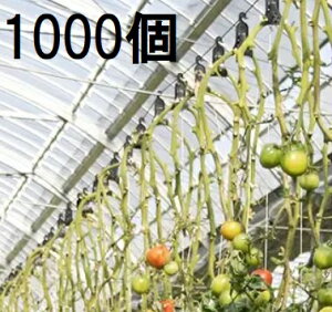 (1000) U V Uq2 g}g U^[͔|p U V UqII (100×10) iXjbNX