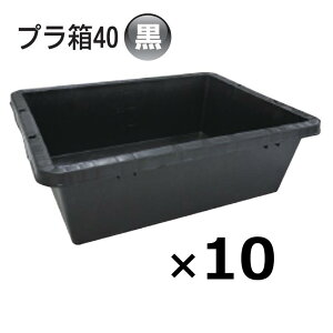 (10��) �v���� 40�^ �� 455×600×190mmH �u���b�N�l���� �p�^�e�� �g���D �g���� ���{�����S���� (�@�l/�l �I��)