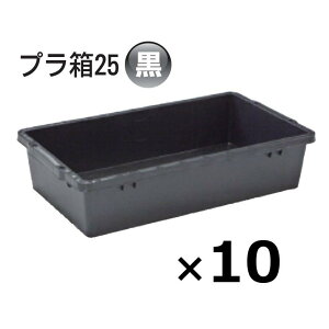 (10��) �v���� 25�^ �� 370×640×145mmH �u���b�N�l���� �p�^�e�� �g���D �g���� ���{�����S���� (�@�l/�l �I��)