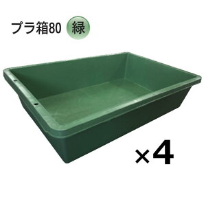 (4��) �v���� 80�^ �� 602×911×207mmH �O���[���l���� �p�^�e�� �g���D �g�������{�� ���S���� (�@�l/�l �I��)