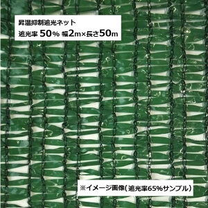 }Ռlbg 2m×50m XO[F Ռ50 dʖ6kg {}^C (@lorcƏ)mՌV[gn