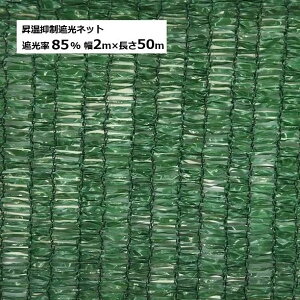 }Ռlbg 2m×50m XO[F Ռ85 dʖ10kg {}^C(@lorcƏ)mՌV[gn