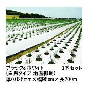 (3{Zbg) g[J ubNzCg (^Cv n}) (0.025mm×95cm×200m) }` 㣋Y (@l/^ЉcƏ~ I)