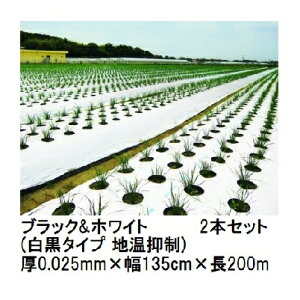 (2{Zbg) g[J ubNzCg (^Cv n}) (0.025mm×135cm×200m) }` 㣋Y (@l/^ЉcƏ~ I)