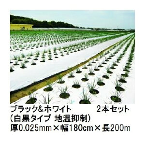 (2{Zbg) g[J ubNzCg (^Cv n}) (0.025mm×180cm×200m) }` 㣋Y (@l/^ЉcƏ~ I)