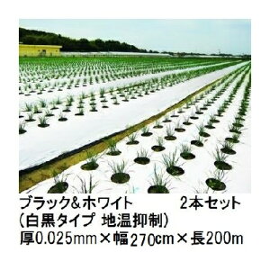 (2{Zbg) g[J ubNzCg (^Cv n}) (0.025mm×270cm×200m) }` 㣋Y (@l/^ЉcƏ~ I)