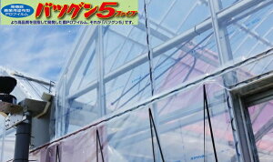 20260408�_PO �o�c�O��5 ����0.15mm×��150cm×����100m ���� (���e�L�i�V5) �^�L�����V�[�A�C