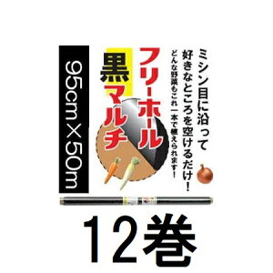 (12Zbg) C^j ؉p t[z[}` 0.02mm×95cm×50m J}eA (@lorcƏ)