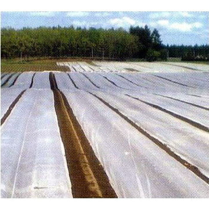 楽天市場】(九州の法人限定 送料無料) 農業用べたがけ資材 パオパオ90 