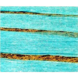 (九州の法人限定 送料無料) 不織布 農業用べたがけ資材 青パオパオ 210cm×200m 2.1×200m 透光率85% MKVアドバンス