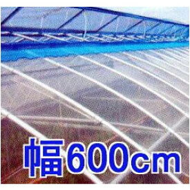 カット販売 塗布無滴 農POフィルム イースター 厚み0.075mm×幅600cm×長さ30m 重さ約13kg MKVアドバンス