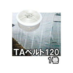 ��㣋��Y �g�[�J�� TA�x���g120 12cm×100m 1�� �n�E�X�_PO�����@zs