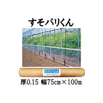 楽天市場】poフィルム 75 100 0.15の通販