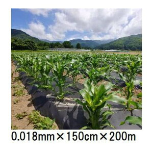 𐫃}`tB LG  0.018mm×150cm×200m }` ( ܂ LG})