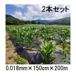 (p2{Zbg) 𐫃}`tB LG  0.018mm×150cm×200m }` ( ܂ LG})