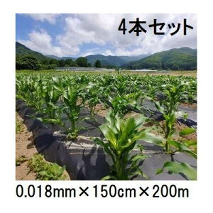 (4{Zbg) 𐫃}`tB LG  0.018mm×150cm×200m }` ( ܂ LG})