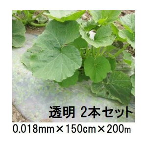 (p2{Zbg) yz𐫃}`tB LG 0.018mm×150cm×200m }` ( ܂ LG})