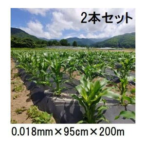 (p2Zbg) 𐫃}`tB LG  0.018mm×95cm×200m }` ( ܂ LG})@(zs)