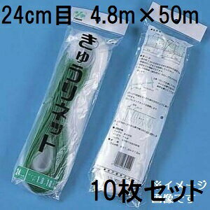 (10Zbg) ˒ LElbg Ԗ24cm×4.8m×50m WB4850  イlbg L[lbg LÊ鐫A̗U ΂̃J[e