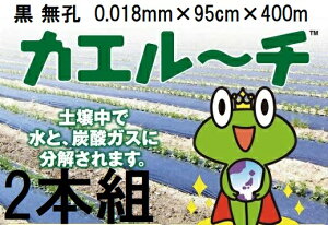 (2Zbg) 𐫃}`tB JG[`  E 0.018mm×95cm×400m MKVAhoX (B̖@l )