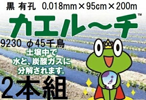 (2Zbg) 𐫃}`tB JG[`  LE 9230 45璹 0.018mm×95cm×200m MKVAhoX (B̖@l )