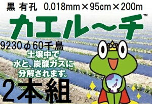 (2Zbg) 𐫃}`tB JG[`  LE 9230 60璹 0.018mm×95cm×200m MKVAhoX (B̖@l )