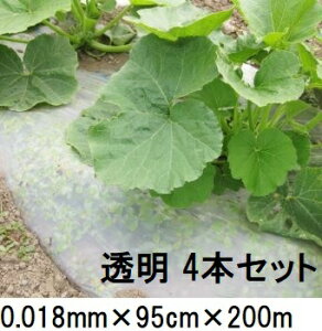 yz(4Zbg) 𐫃}`tB LG  0.018mm×95cm×200m }` m ܂ LG}n