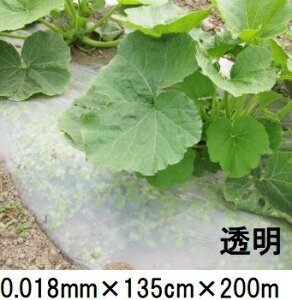 yz𐫃}`tB LG 0.018mm×135cm×200m }` m ܂ LG}n