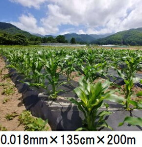𐫃}`tB LG  0.018mm×135cm×200m }`@zs m  ܂ LG}n
