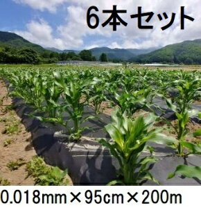 (6Zbg) 𐫃}`tB LG  0.018mm×95cm×200m }` ( ܂ LG})@(zs)