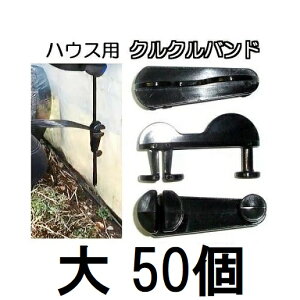 (50Zbg) NNoh  rj[nEXp nEXoh ~ ߋ@zs