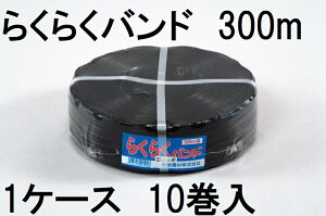 (10Zbg) _POtBp nEXoh L[Woh 炭炭 12mm×300m 20{×2c 炭炭oh  _ |@llI