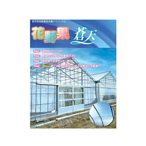 �Ԗ��(�͂Ȃ₩)���V ���� ��230cm×����100m �h�z�^�_PO�t�B����(�����W���p) �Z���ϐ��t�B���� �X�~�J�Z�L�X�C �����X���׌�̔����ƂȂ�܂�